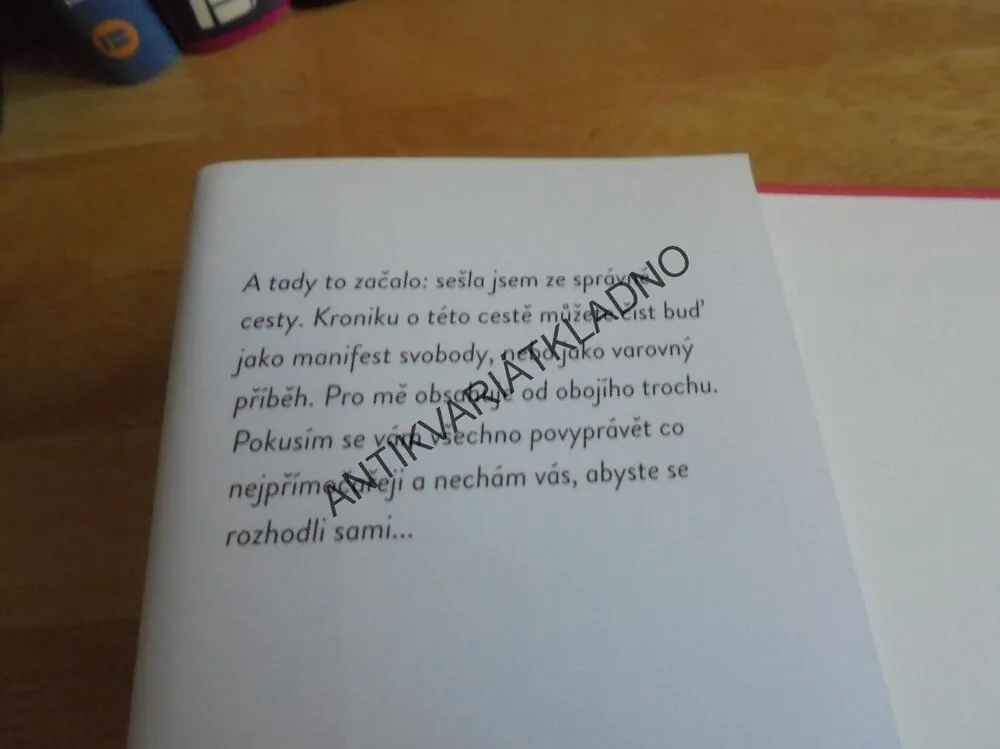 MŮJ DIVOKÝ ROK, TOUŽIT, SVÁDĚT,MILOVAT,RINALDIOVÁ