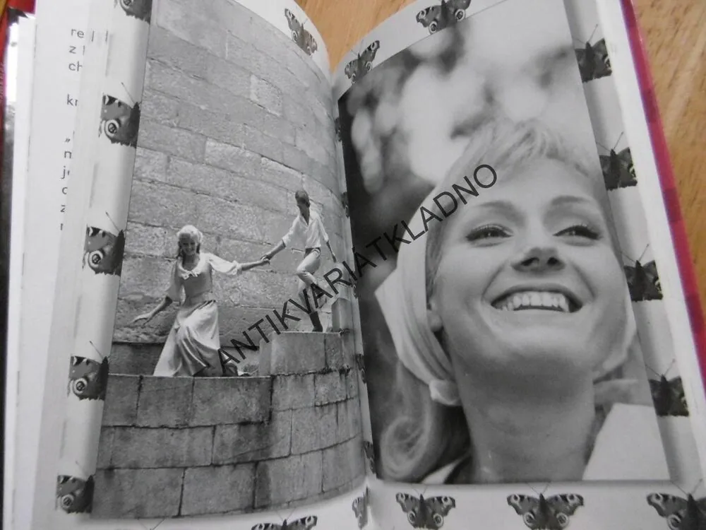 ŠÍLENĚ SMUTNÁ PRINCEZNA, **an