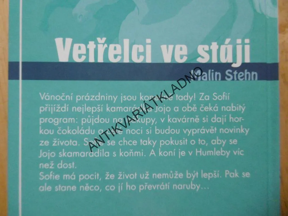 VETŘELCI VE STÁJI, MALIN STEHN, *an