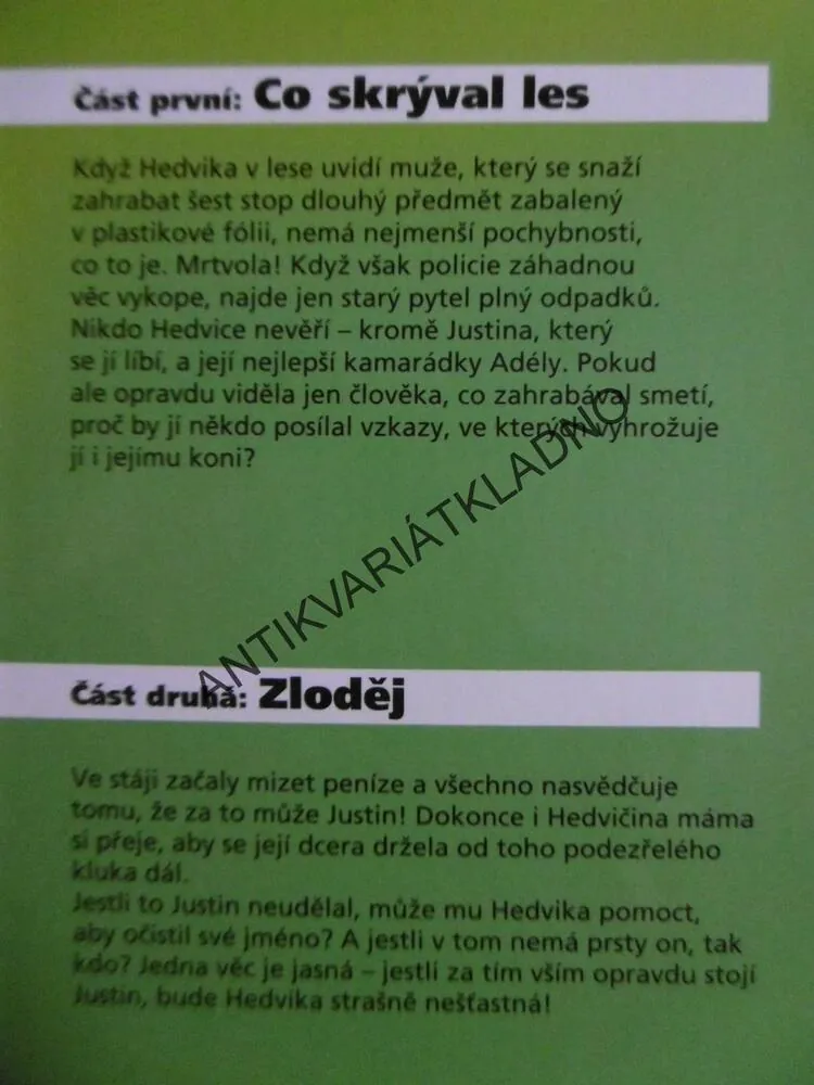 NEBEZPEČNÉ LÉTO 2, ELI B. TORESEN, *an