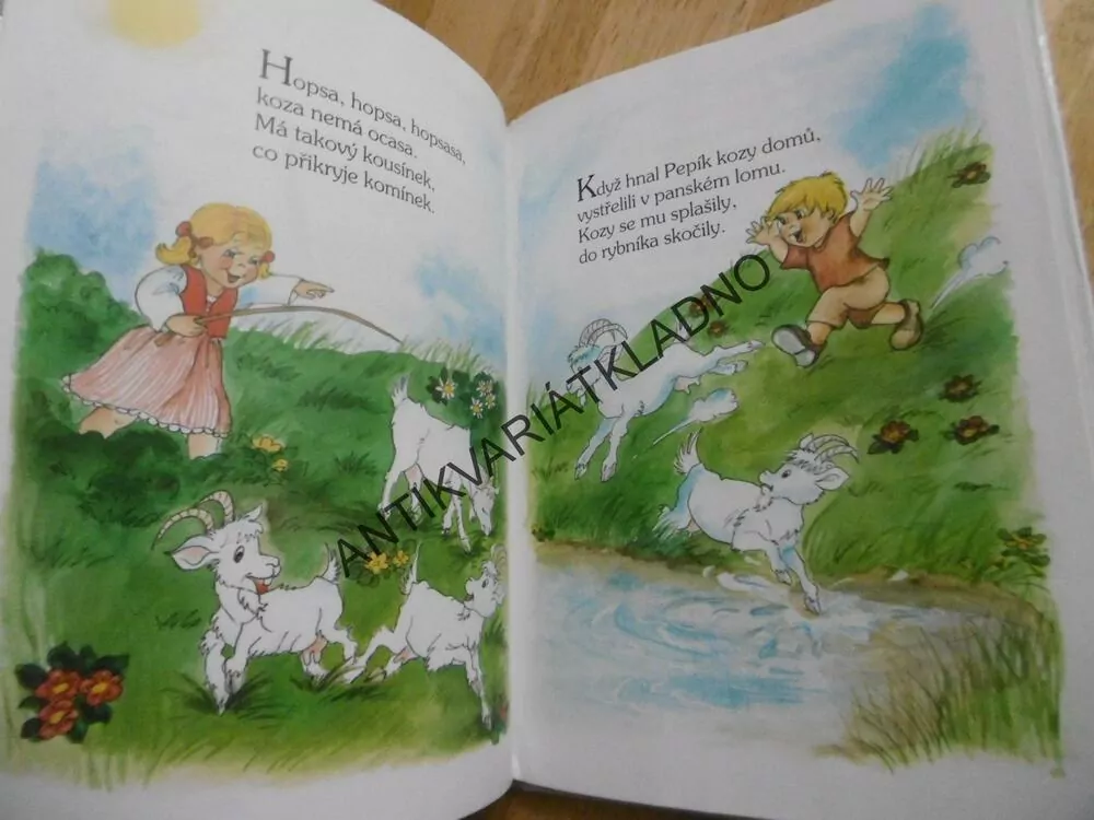 HOPSA HEJSA DO BRANDEJSA, BÁSNIČKY, VLADIMÍRA VOPIČKOVÁ, **an