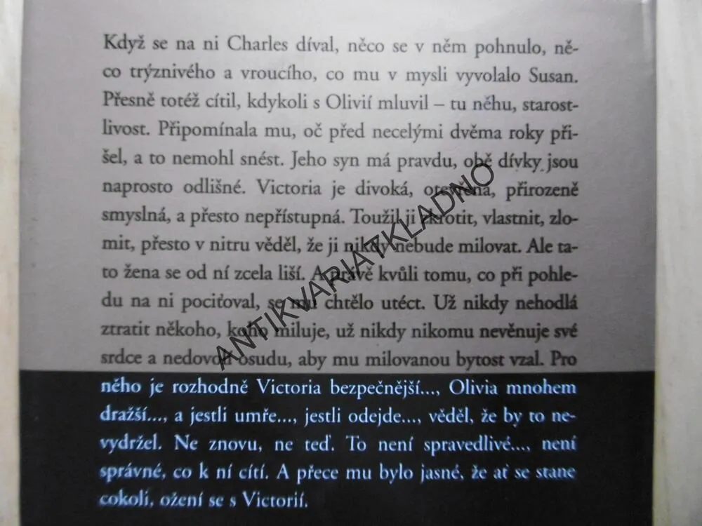 ZRCADLOVÝ OBRAZ, DANIELLE STEEL, **an