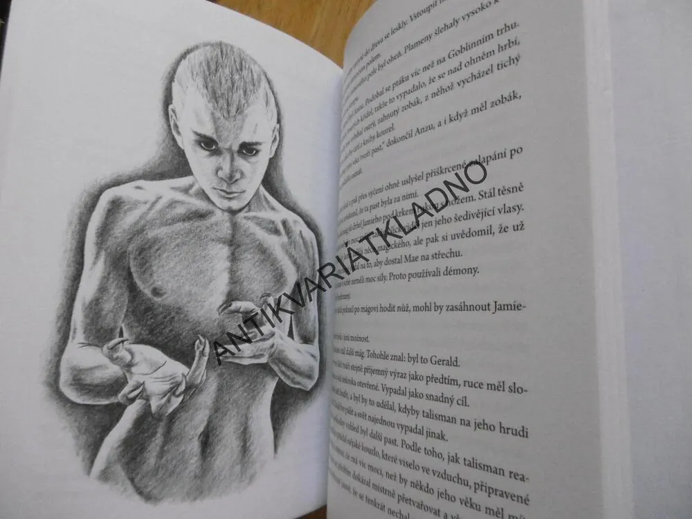 ZNAMENÍ DÉMONA, SARAH REES BRENNANOVÁ,  **an