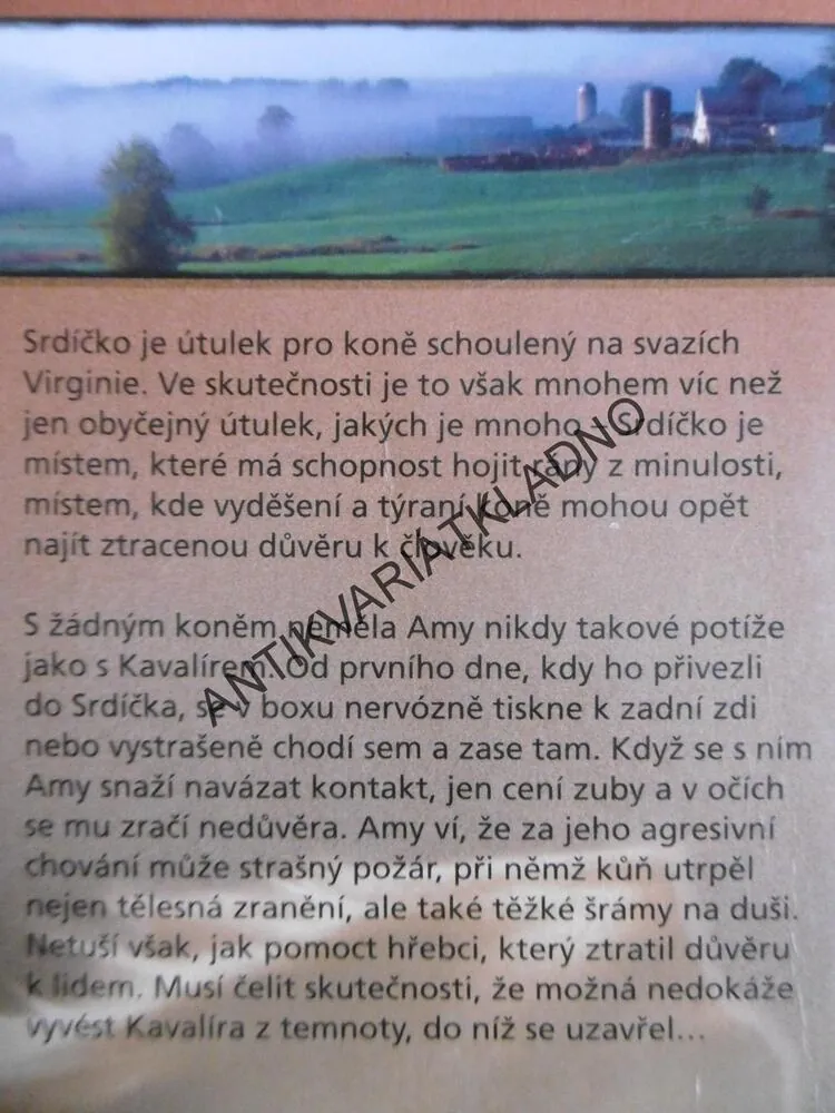 Z TEMNOT KE SVĚTLU, LAUREN BROOKE, *an
