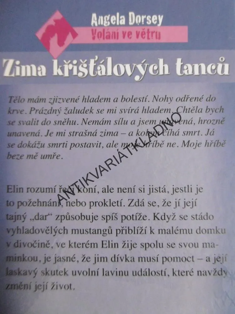 ZIMA KŘIŠŤÁLOVÝCH TANCŮ, ANGELA DORSEY, *an