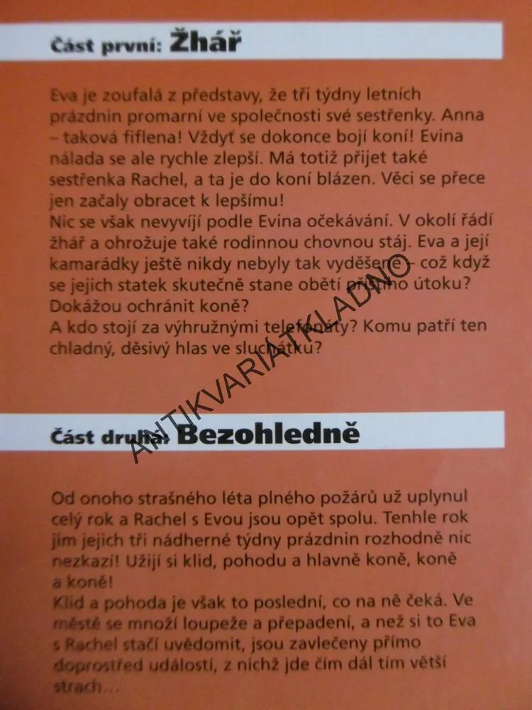 NEBEZPEČNÉ LÉTO 1, ELI B. TORESEN, *an