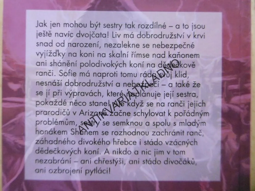 ZÁHADNÝ HŘEBEC, SHARON SIAMON, *an