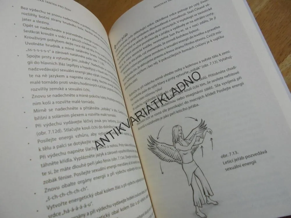 TAOISTICKÁ TANTRA PRO ŽENY MINKE DEVOS,SEX,EROTIKA