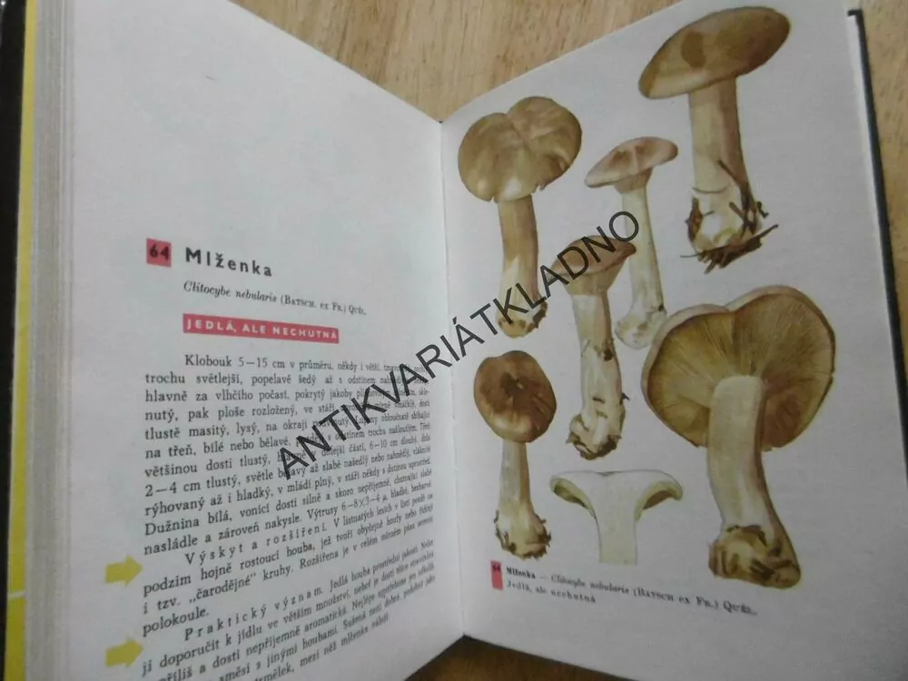 KAPESNÍ ATLAS HUB, PILÁT, UŠÁK,  HOUBY, **an