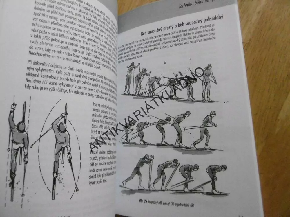 BĚH NA LYŽÍCH, LYŽOVÁNÍ, LYŽE, SPORT,SOUMAR, BOLEK, **an