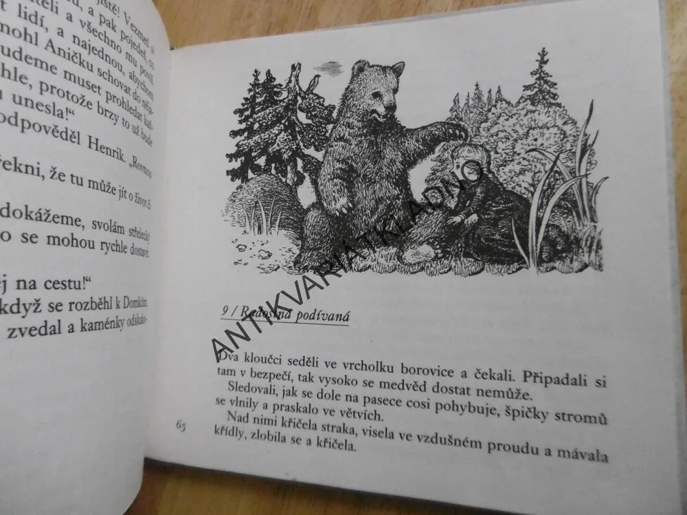MEDVĚDICE OD ZLATÉHO MOČÁLU, BJORN RONGEN, JAN ČERNÝ, **an