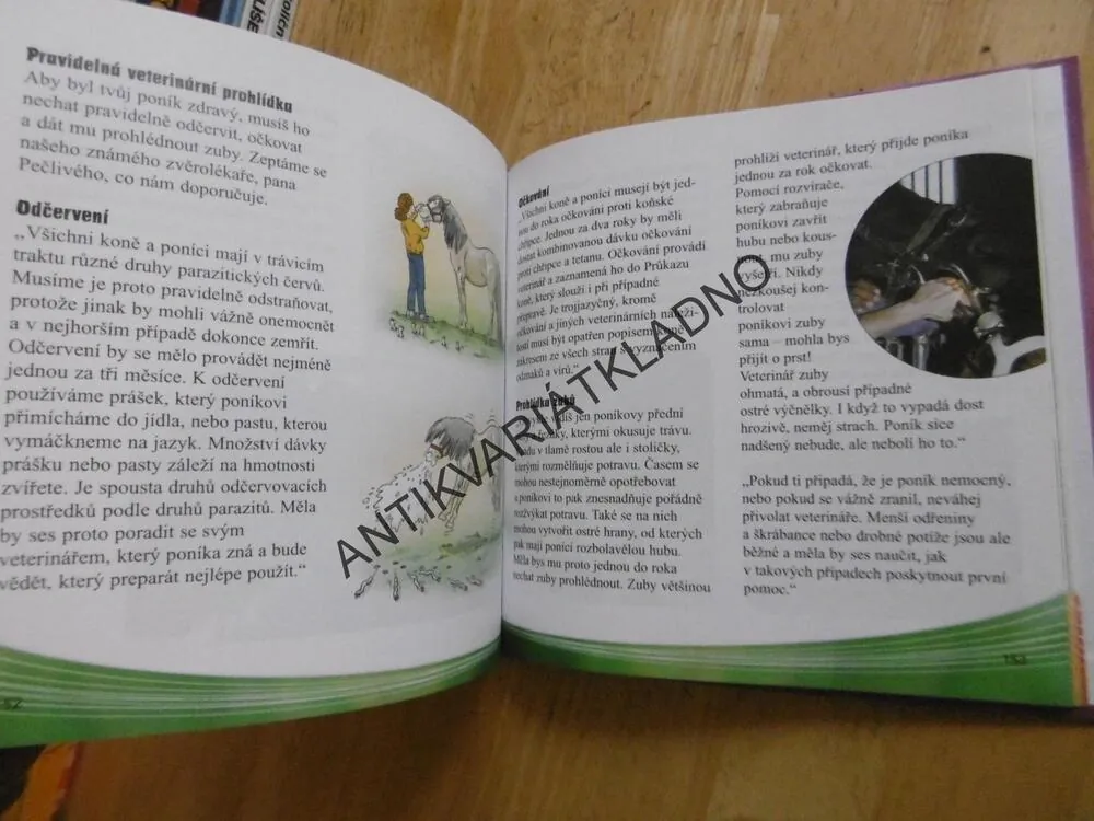 MŮJ PRVNÍ PONÍK, SANDY RANSFORD, **an