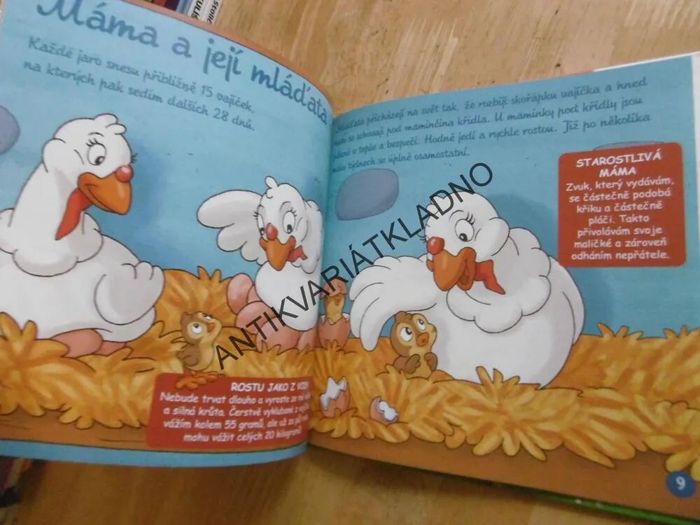 KROCAN, NA DVORKU, **an