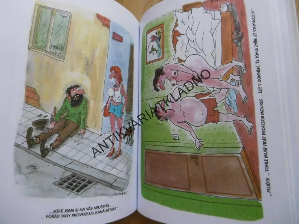 PIVRNCOVA POSTELOVÁ LIGA, PETR URBAN, VTIPY, HUMOR, PIVRNEC, **an