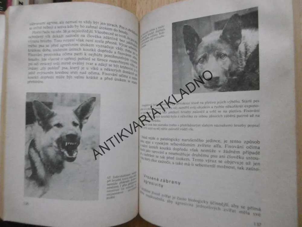 POZNEJ SVÉHO PSA, VLADIMÍR MIKULICA, stav A1, bez vyšis.hřbetu !! **n