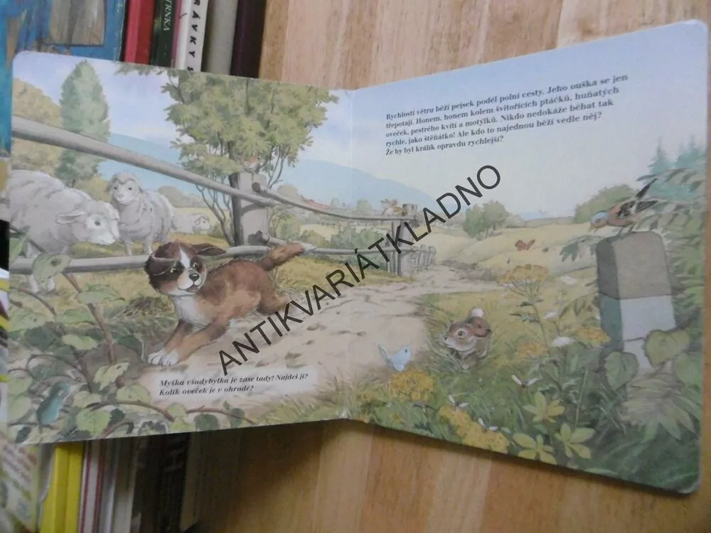 COPAK DĚLÁŠ, ŠTĚŇÁTKO?, ÚKOLY A HÁDANKY, **an