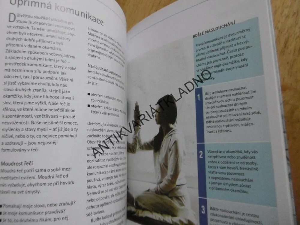 MEDITACE PRO ZAČÁTEČNÍKY, PRAXE BDĚLÉHO ŽIVOT, CHRISTINA FELDMAN, **an