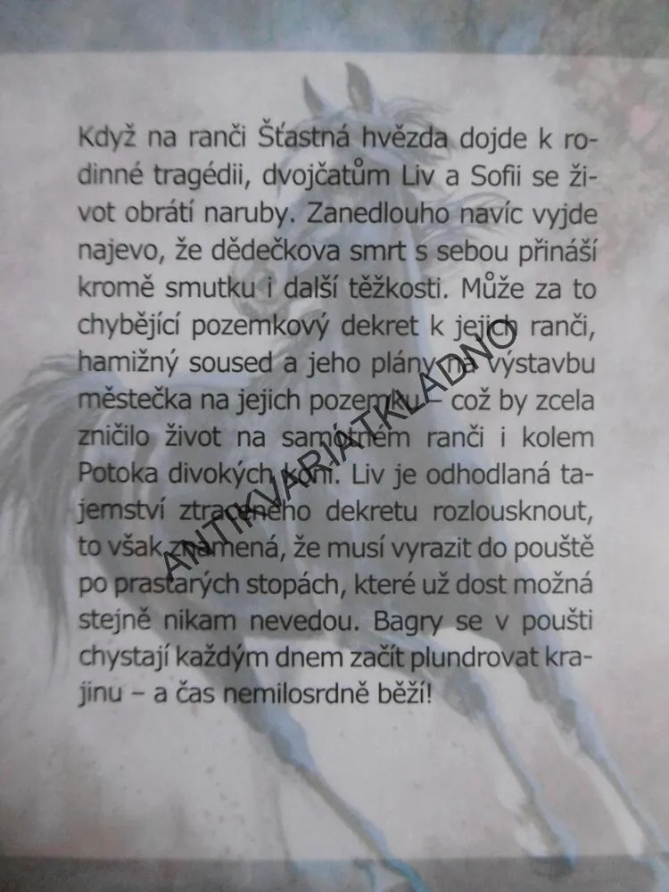 SMĚLÉ SNY, SHARON SIAMON, POTOK DIVOKÝCH KONÍ,  **an