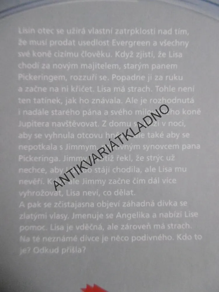 TEMNÝ OHEŇ, ANGELA DORSEY, **an