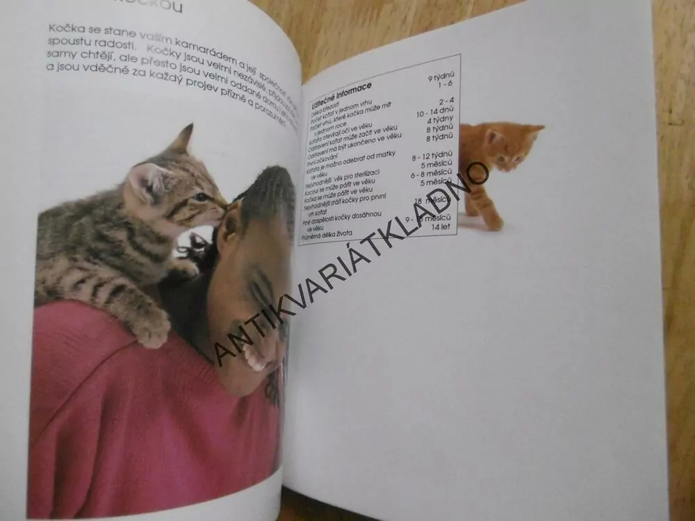 KOČKA BYDLÍ S NÁMI, KOČKA,PRŮVODCE PRO MLADÉ CHOVATELE, HELENA PIERSOVÁ, **an