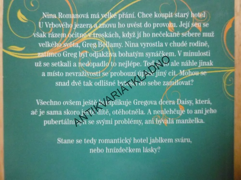 HOTEL PRO MOU LÁSKU, SUSAN WIGGSOVÁ, **an