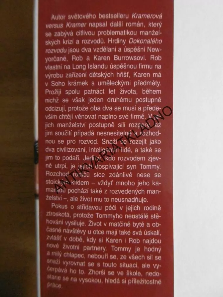 DOKONALÝ ROZVOD, AVERY CORMAN, **an