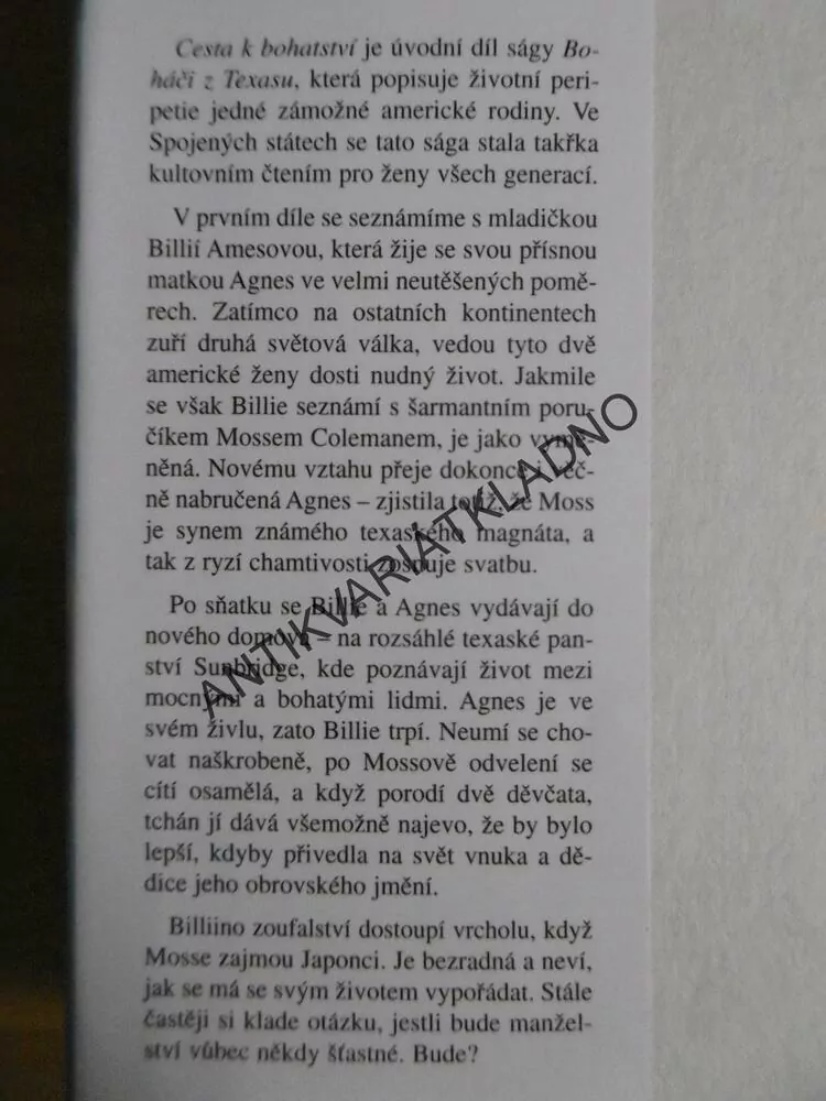 BOHÁČI Z TEXASU, FERN MICHAELS, **an