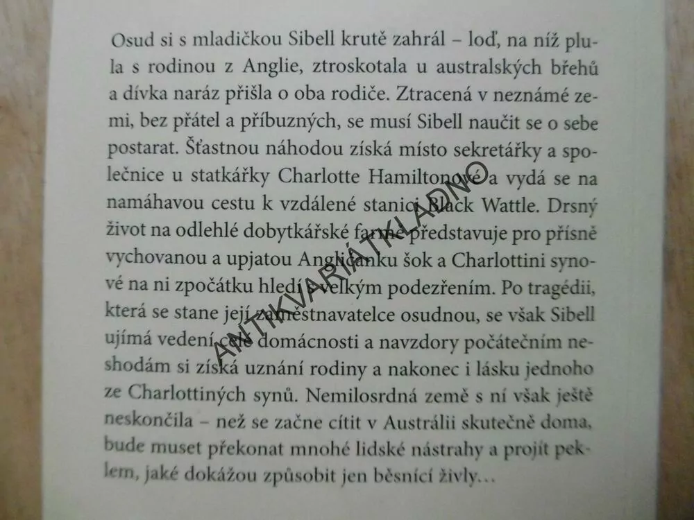 KÁMEN A PÍRKO, PATRICIA SHAWOVÁ, **an