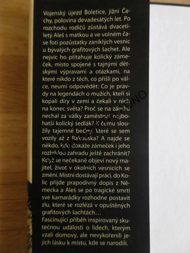 CUKROVÝ KLAUN, MARTIN SICHINGER, **an