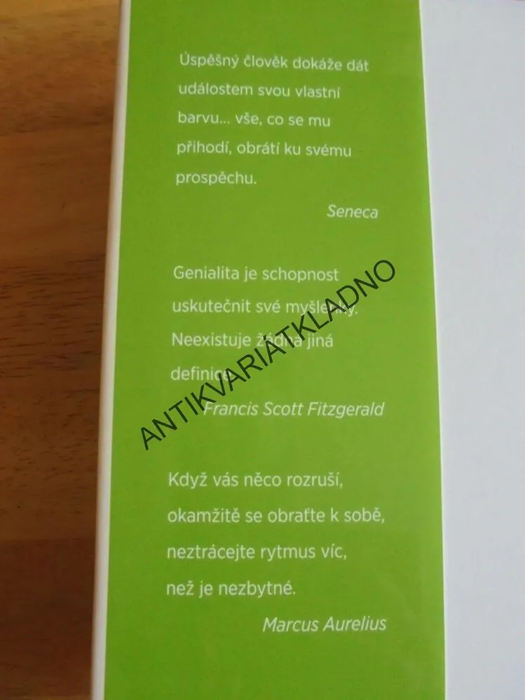 PŘEKÁŽKA JAKO VÝZVA, RYAN HOLIDAY, KRIZE,NOVÁ PŘÍL