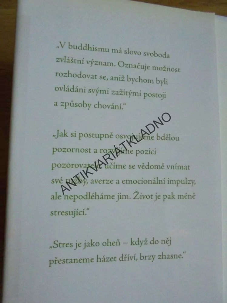 BUDDHOVA KNIHA O STRESU, JOSEPH EMET,MYSL,MEDITACE