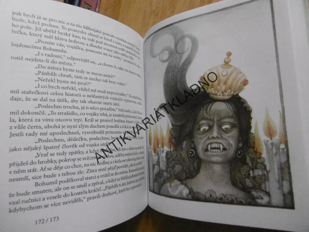 PRINCEZNA SE ZLATOU HVĚZDOU NA ČELE, BOŽENA NĚMCOVÁ, **an