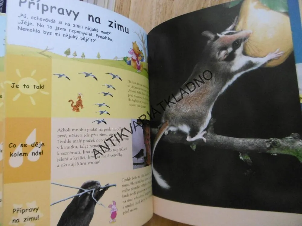 MOJE PRVNÍ KNIHA ROČNÍCH OBDOBÍ, MEDVÍDKEM PÚ A JEHO PŘÁTELI, **an