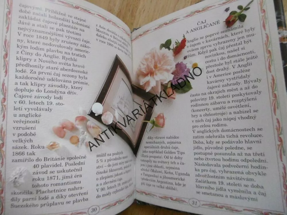 ČAJE A BYLINY, JILL NORMANOVÁ, **an