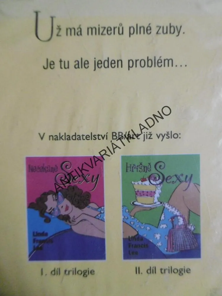 PROSTĚ SEXY, LINDA FRANCIS LEE, **an