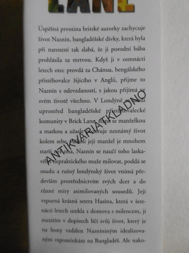 VE ČTVRTI BRICK LANE, MONICA ALI, **an