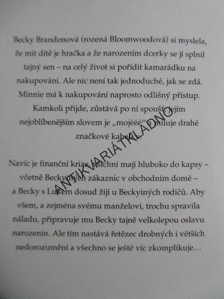 BÁJEČNÉ MININAKUPOVÁNÍ, SOPHIE KINSELLA, **an