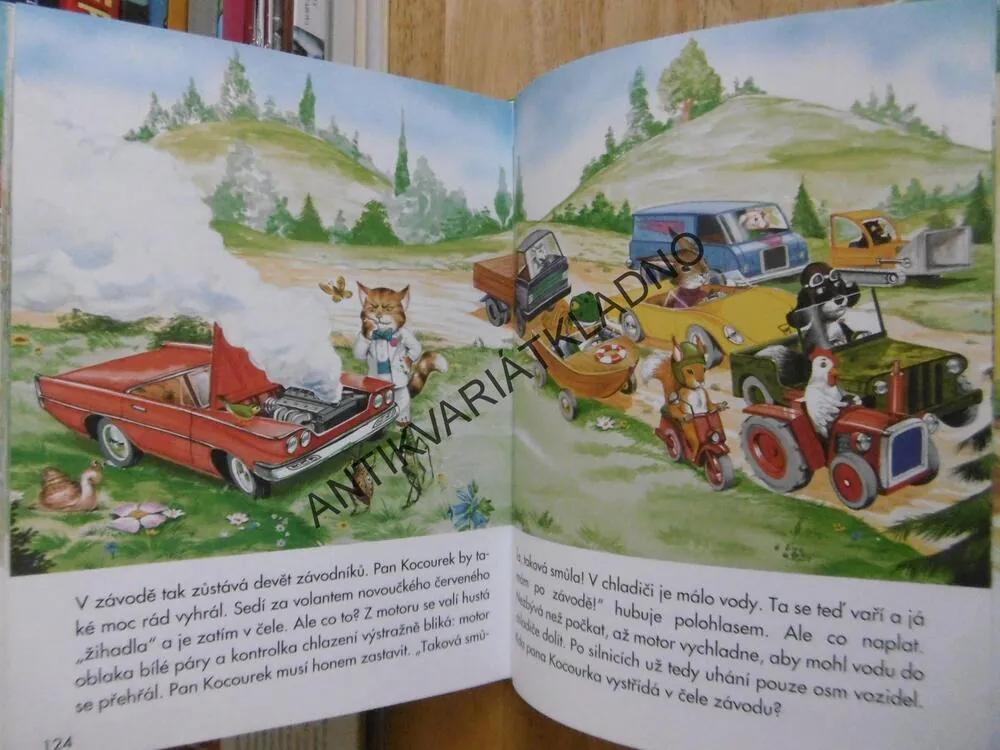 ZAPOMNĚTLIVÝ PUŇTA, **an