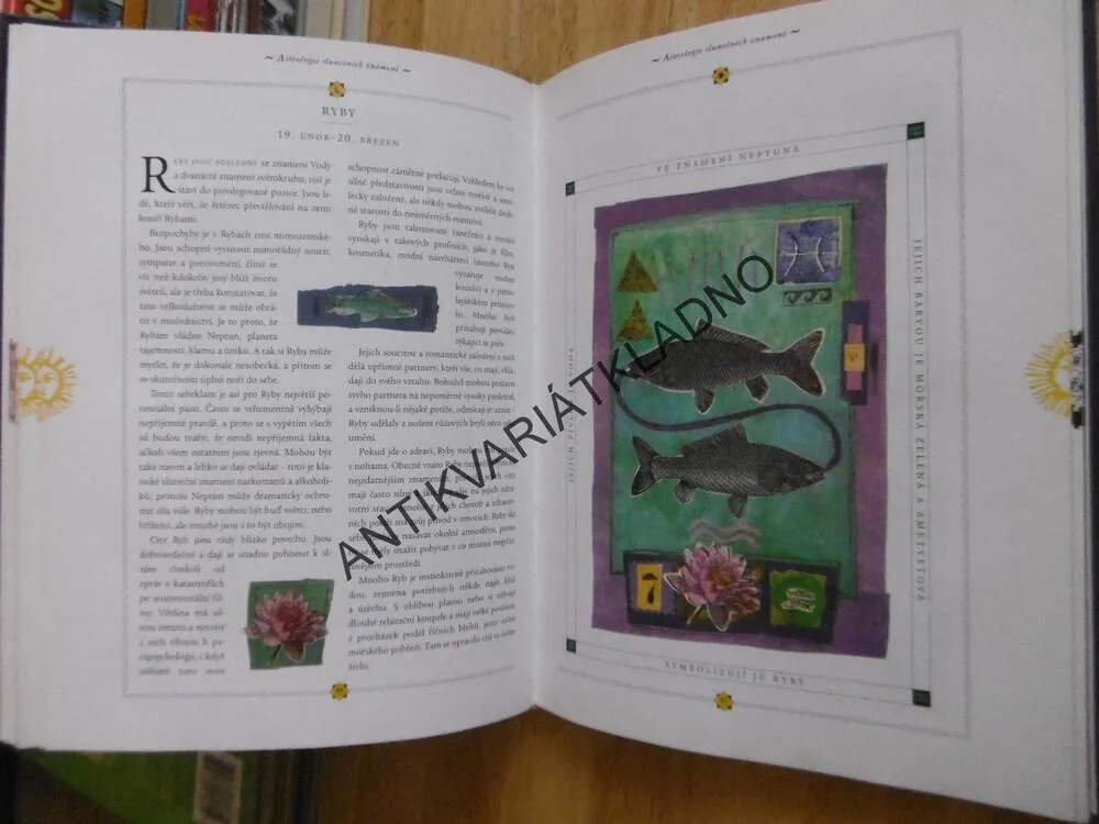 KNIHA OSUDU, ASTROLOGIE, ČTENÍ Z RUKY, TAROT, KYVADLO, NUMEROLOGIE, AJ. JANE STRUTHERSOVÁ, **an