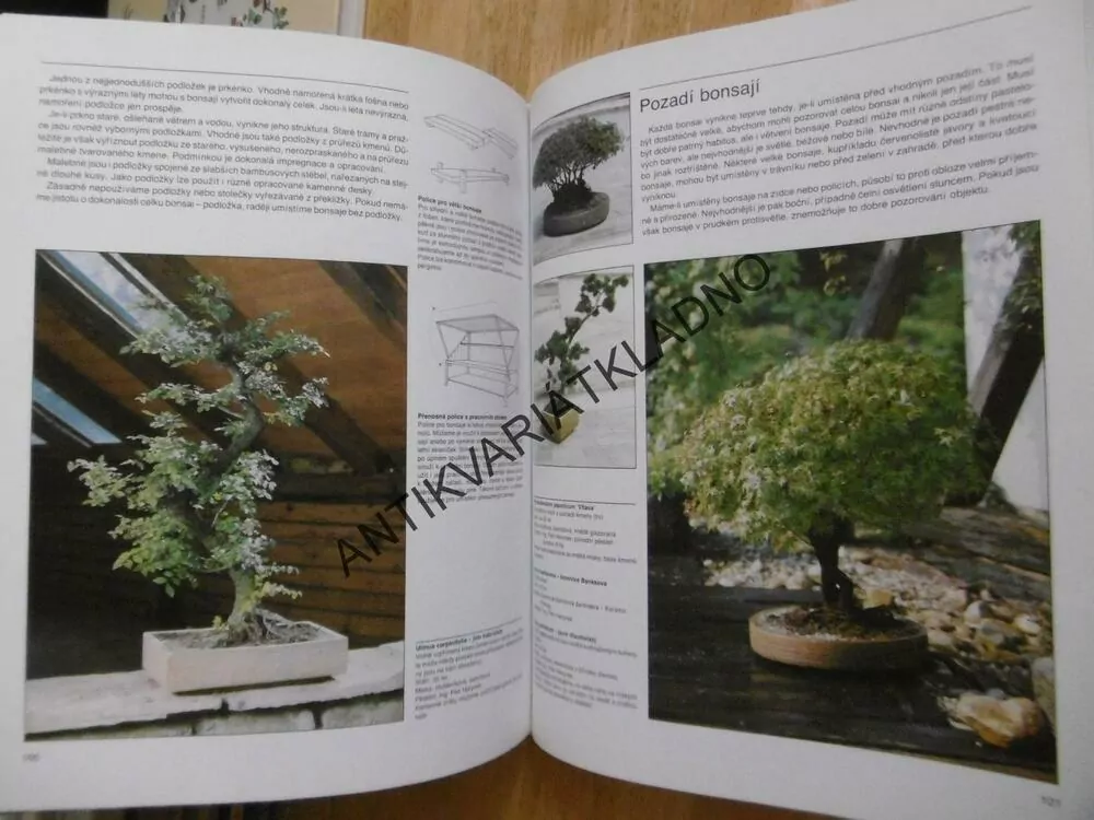 BONSAI, PETR HERYNEK, **an