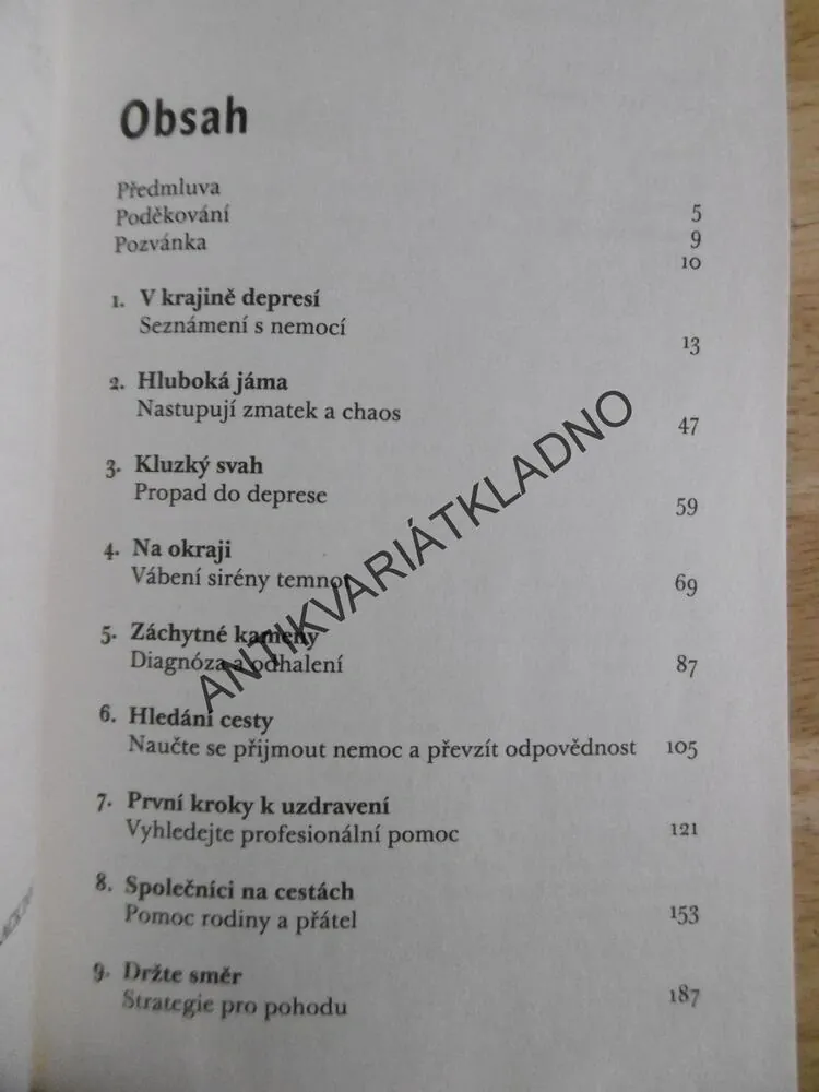 PUTOVÁNÍ S ČERNÝM PSEM, ŽIVOT S DEPRESÍ, TESSA WIGNEYOVÁ, **an