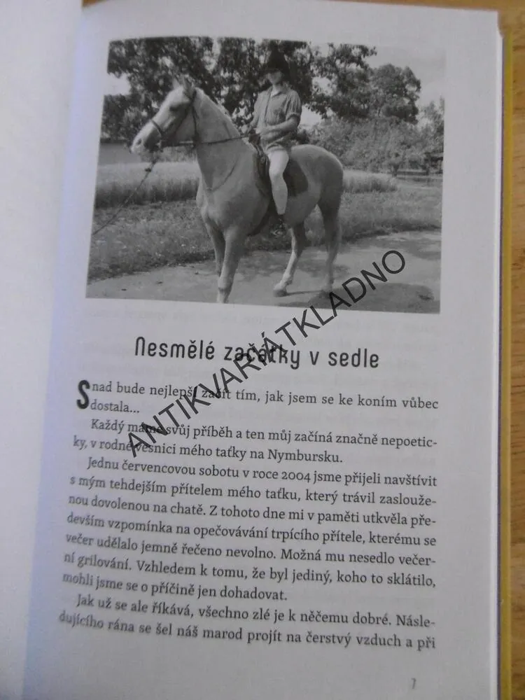 VANDAL A JÁ ANEB KŮŇ PRO RADOST, HANA HOZOVÁ, **an
