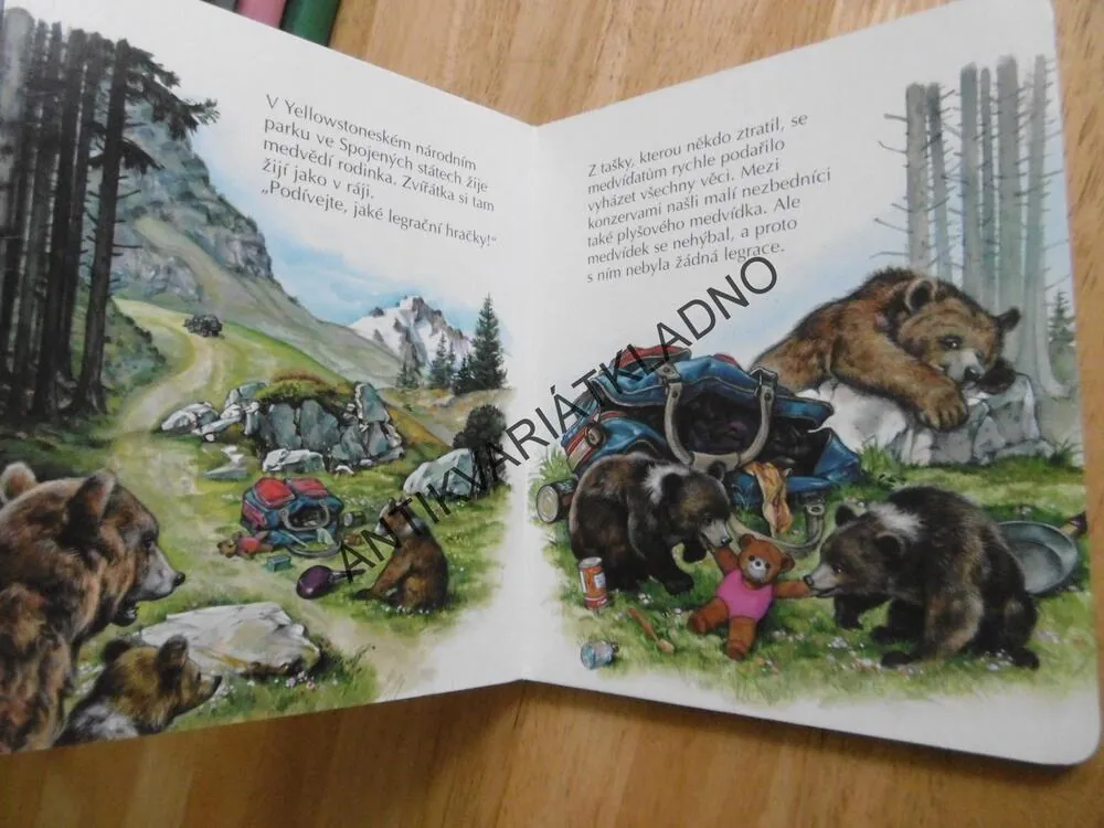 MEDVÍDEK NA PROCHÁZCE, **an
