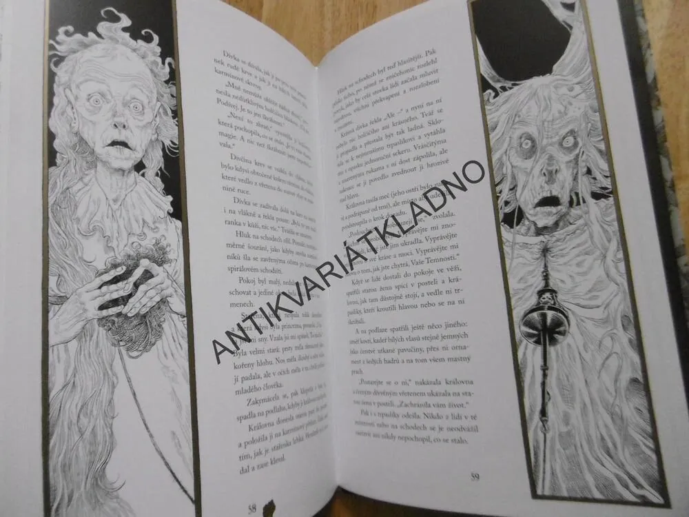 SPÁČKA A VŘETENO, NEIL GAIMAN, KOMIKS, **an