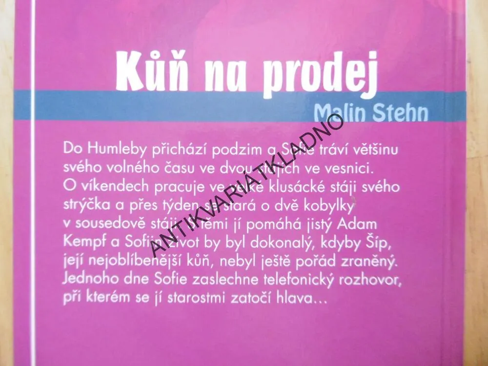 KŮŇ NA PRODEJ, MALIN STEHN, STÁJ V HUMLEBY, **an