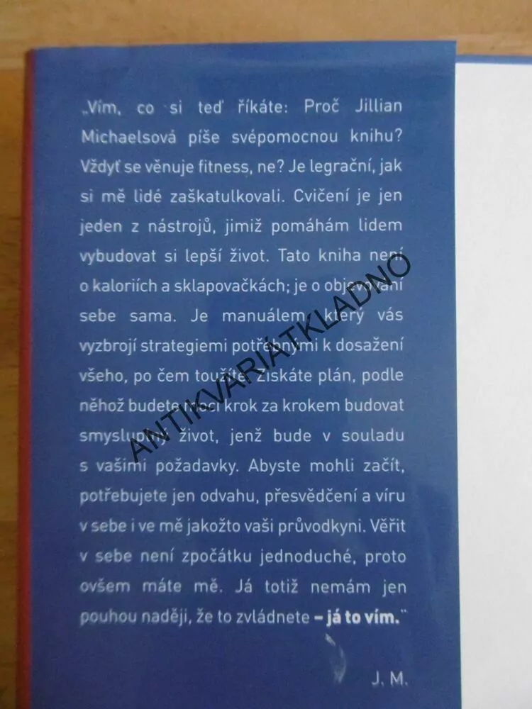 BEZ HRANIC, JAK SI VYBUDOVAT VYJÍMEČNÝ ŽIVOT, JILLIAN MICHAELSOVÁ, **an