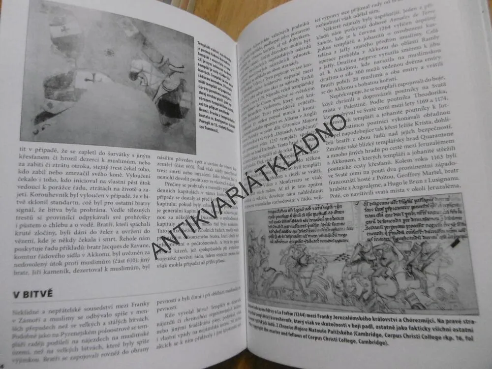TEMPLÁŘI 1120-1312, NOICHOLSONOVÁ, WAYNE REYNOLDS, **an