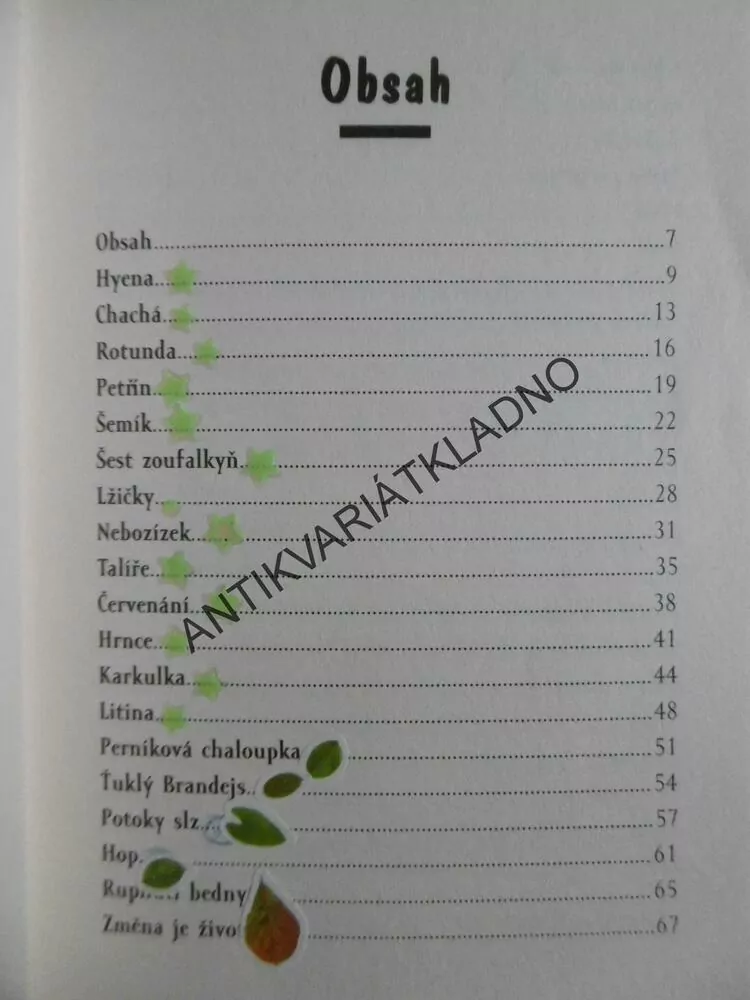 DVOJČATA V AKCI, ZAPEKLITÉ DOMÁCÍ NÁSILÍ, VOJTĚCH STEKLAČ, **an