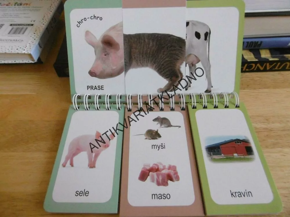 HRAVÁ LOGIKA, FARMA,