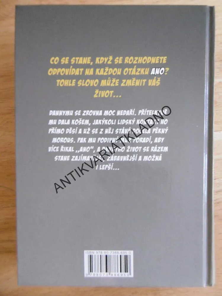 YESMAN ŘEKNI ANO, DANNY WALLACE, **an